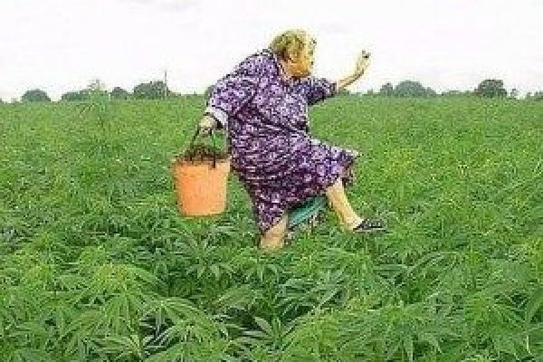 Купить счастье томск