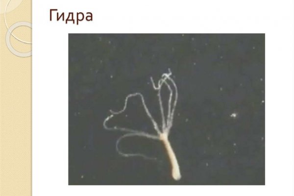 Ссылка на кракен в браузере