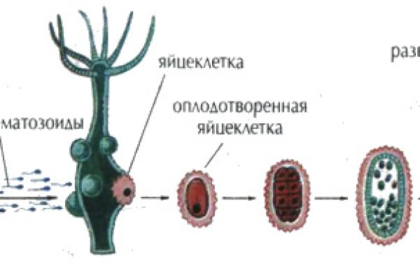 Как зайти на кракен дарк
