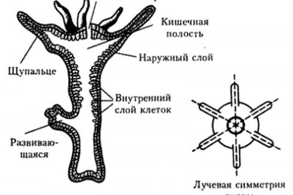 Как войти в супернет