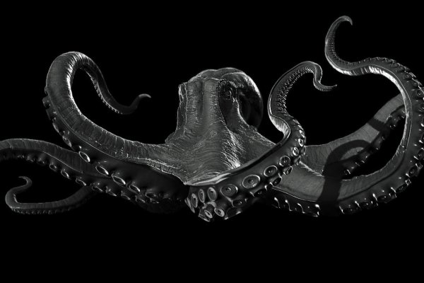 Kraken 6 at