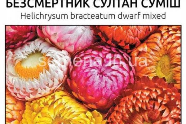 Kraken зеркало krakens13 at