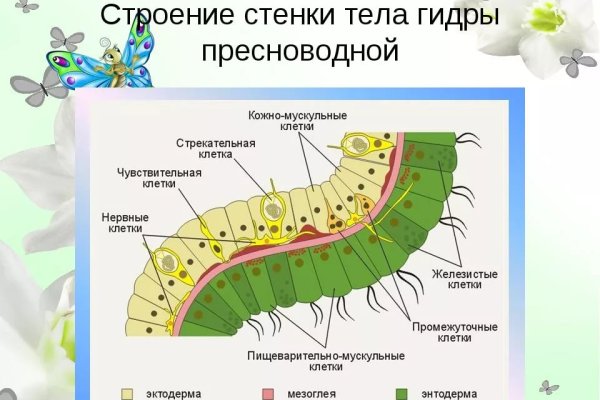 Через какой браузер зайти на кракен