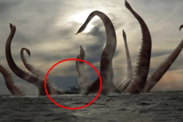 Kraken маркет whitenet только через tor