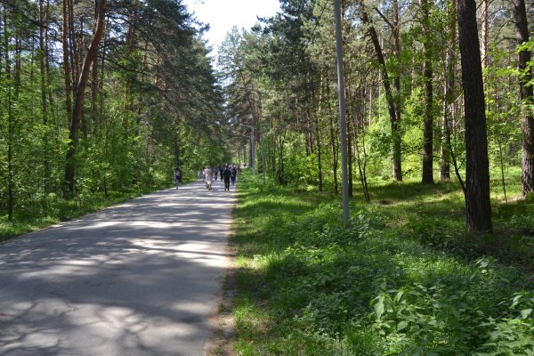 Супернет зеркало