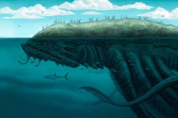 Kraken20 at
